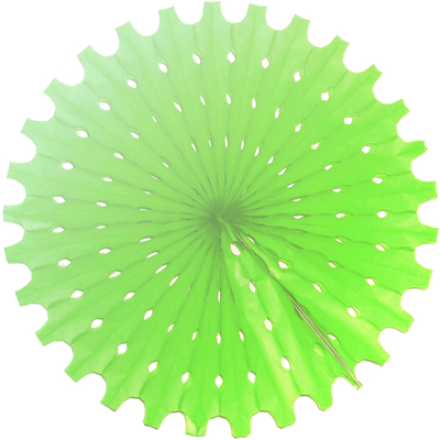 Бумажный диск фант Светло-зеленый 40 см
