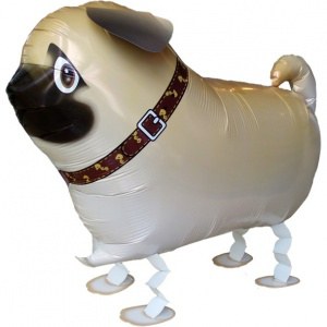 Ходячая фигура Собака Мопс 50 см шар фольга с гелием